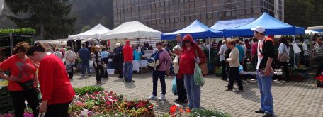 Záhradkár 2016 - Trenčín - DSC05010