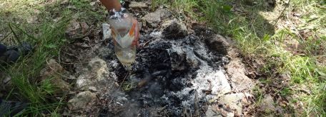 Opekačka mimo areálu (záriečie) 19.6. 2019 - DSC01284