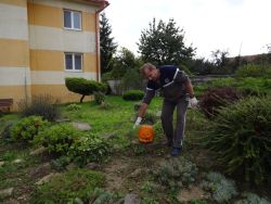 Vyrezávanie hellowenskych tekvíc - DSC00878