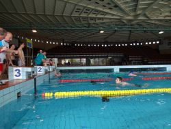 Košice - plavecké preteky - DSC02505