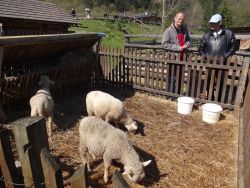 Výlet krajinka pri ružomberku - DSC05350