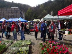 Záhradkár 2016 - Trenčín - DSC05009