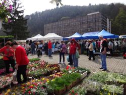 Záhradkár 2016 - Trenčín - DSC05010