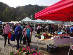 Záhradkár 2016 - Trenčín - DSC05011