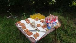 Opekačka mimo areálu (Záriečie) 19.06. 2019