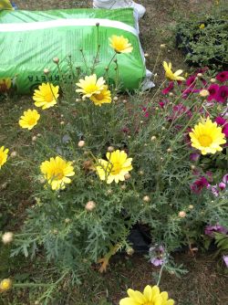 IMG_20220526_122156812