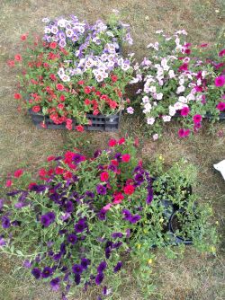IMG_20220526_125148199