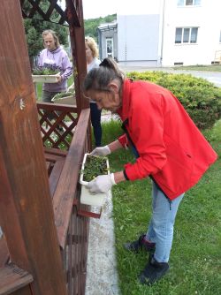 IMG_20220526_131321388