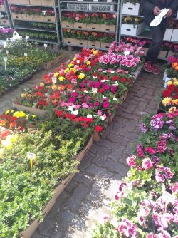 IMG_20220421_095849508