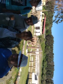 IMG_20220518_104511631