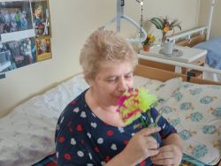 MDŽ