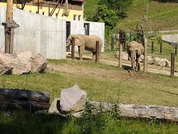 IMG_20230622_101003496_zmensena