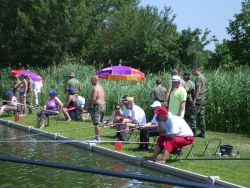 Pic 0665