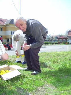 Zber liečivých rastlín - Pic 0545