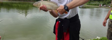 Rybárske preteky zlatá rybka - šoporňa - DSC06044