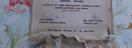 Zlatá rybka 2019 - šoporňa - štrkovec 26. - 28.6. 2019 - DSC01489jfjodsj