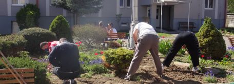 Práca na dvore - okopávanie a sadenie v skalke (21.04. 2020) - DSC02657