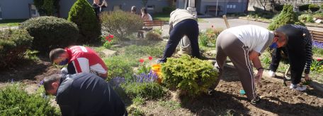 Práca na dvore - okopávanie a sadenie v skalke (21.04. 2020) - DSC02659