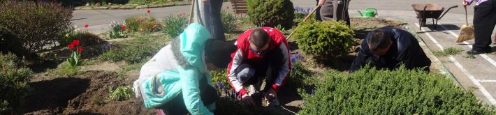 Práca na dvore - okopávanie a sadenie v skalke (21.04. 2020) - DSC02663